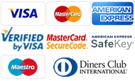 Visa,MasterCard,Maestro,Amex